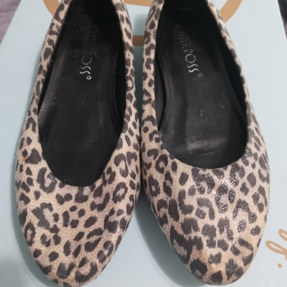 Cheetah Flats